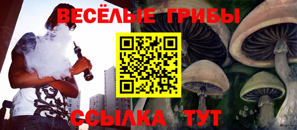 Лесосибирск  Псилоцибиновые грибы MAGIC MUSHROOMS  Вход с VPN 